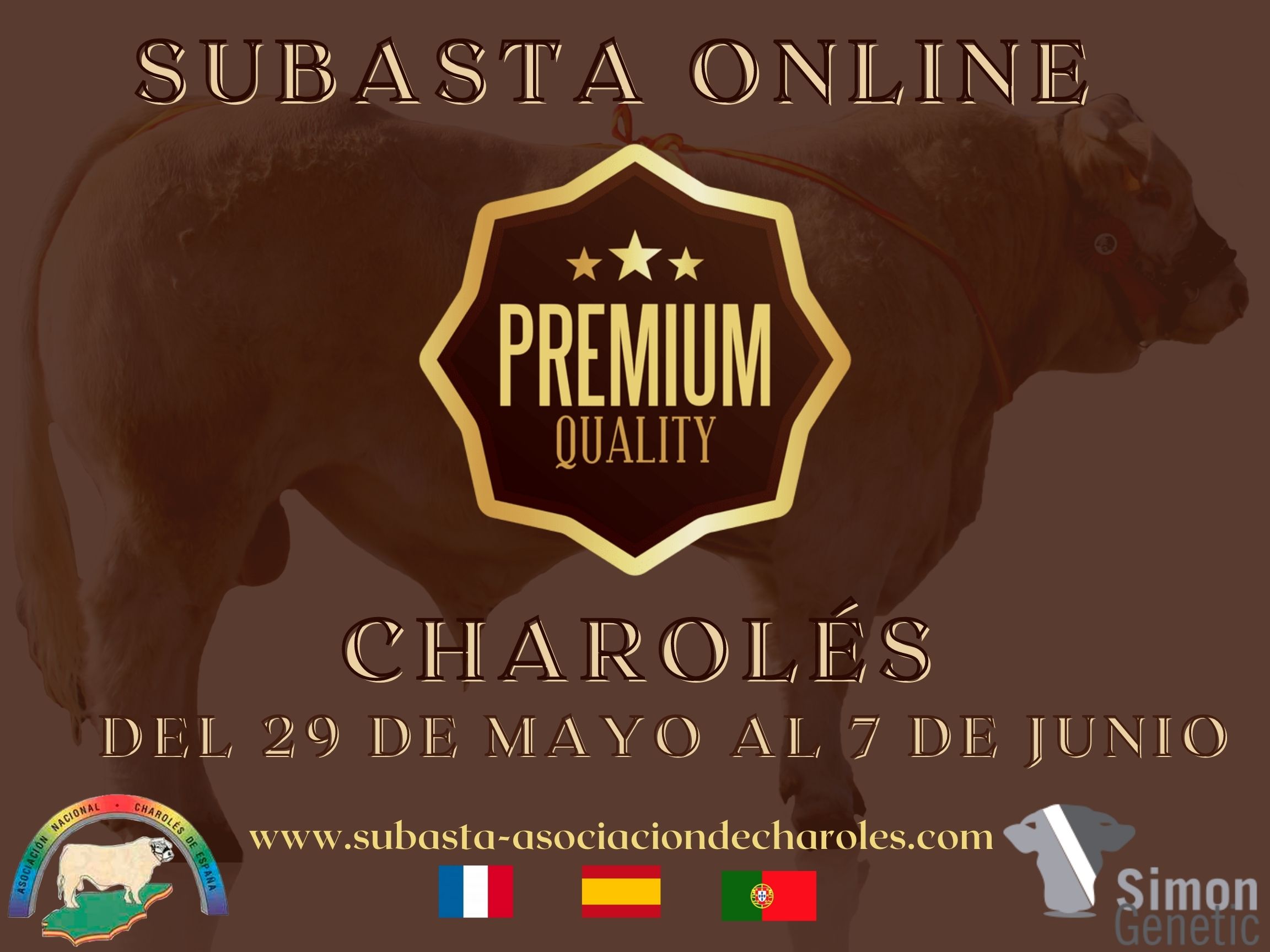 Cartel Subasta Online Charoles "PREMIUM QUALITY"