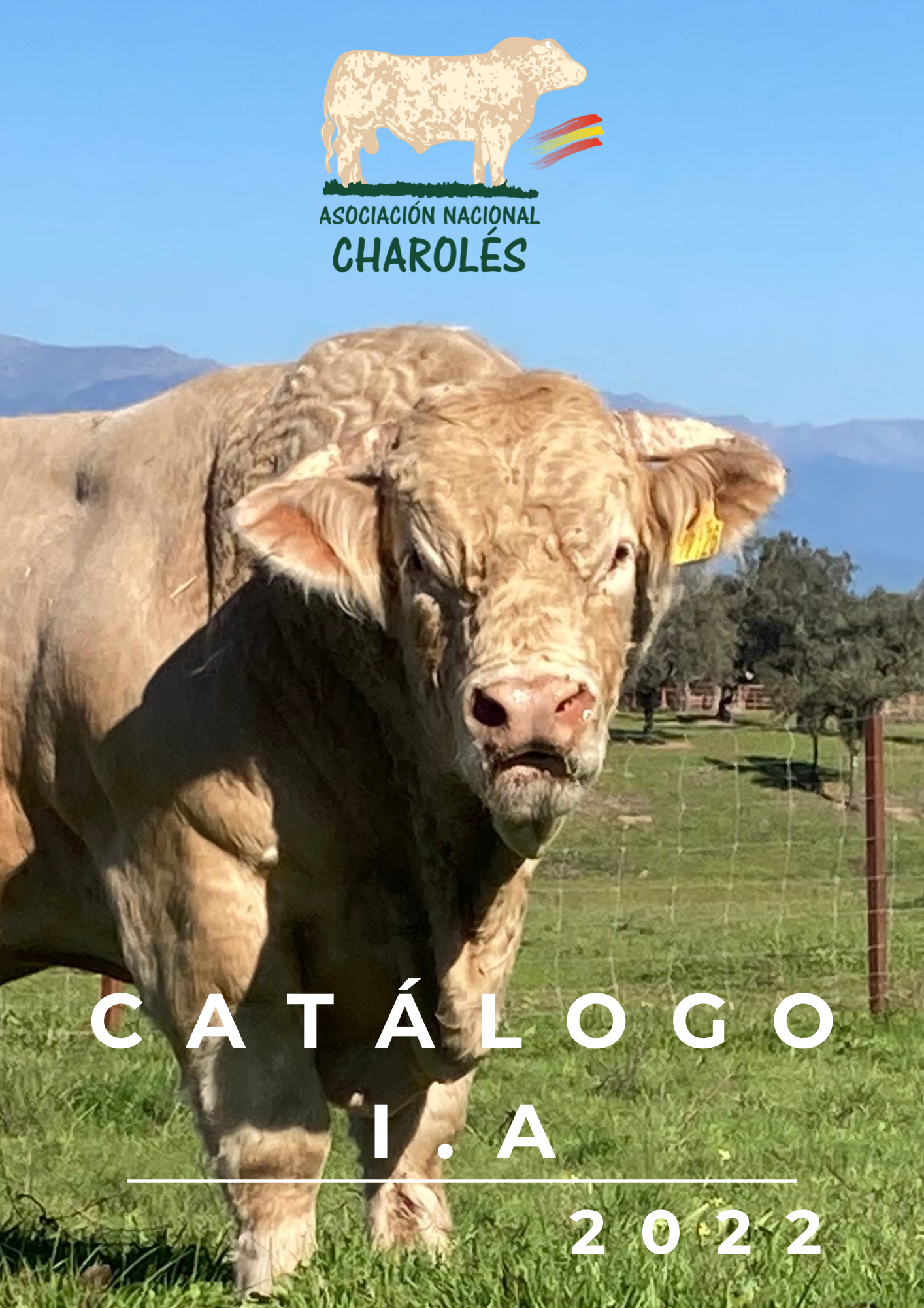 Catálogo I.A 2022