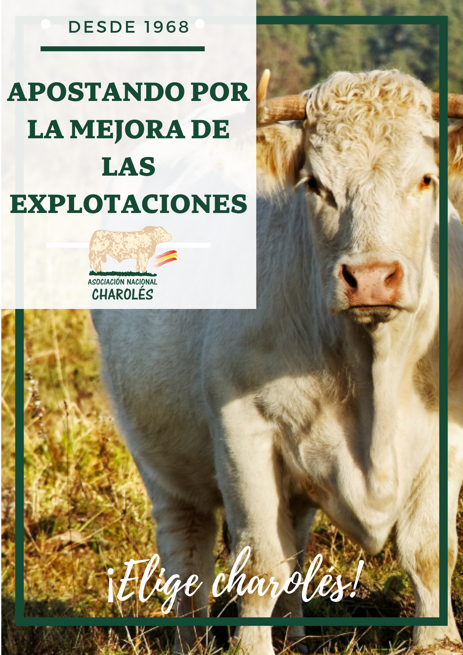 Catalogo Salamanca 2022