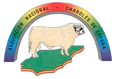ELIGE ASOCIACION NACIONAL