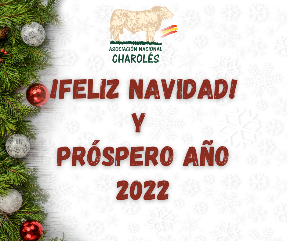 Feliz Navidad y própero año 2022