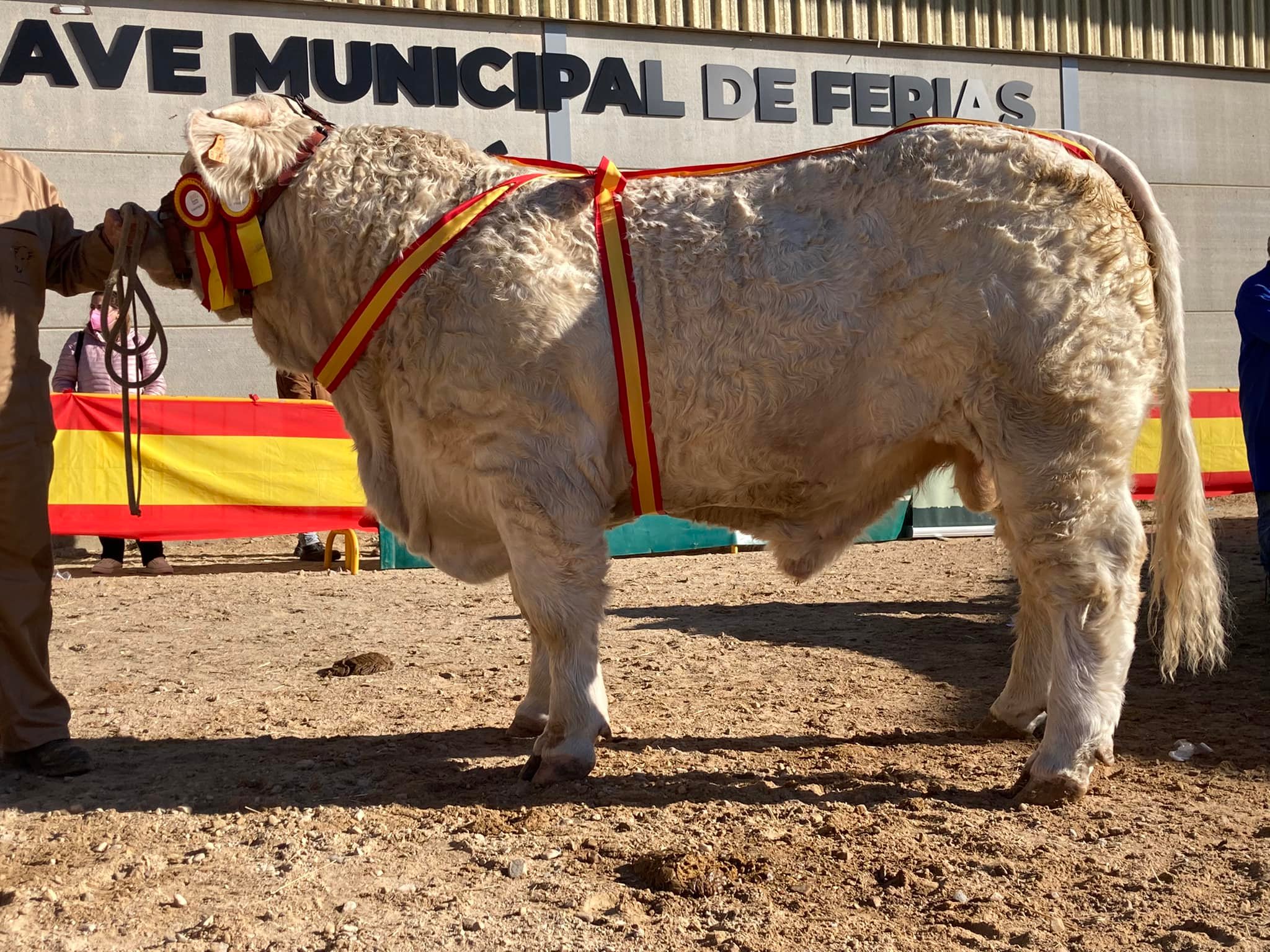 Feria Ciudad Rodrigo 2022