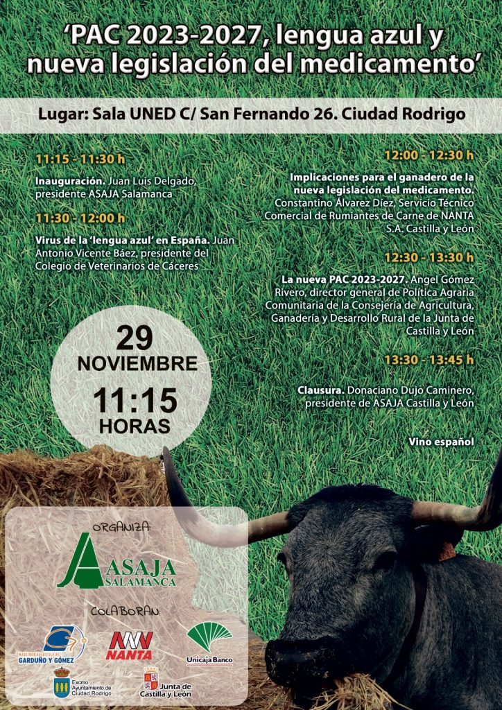 Cartel jornada día 29