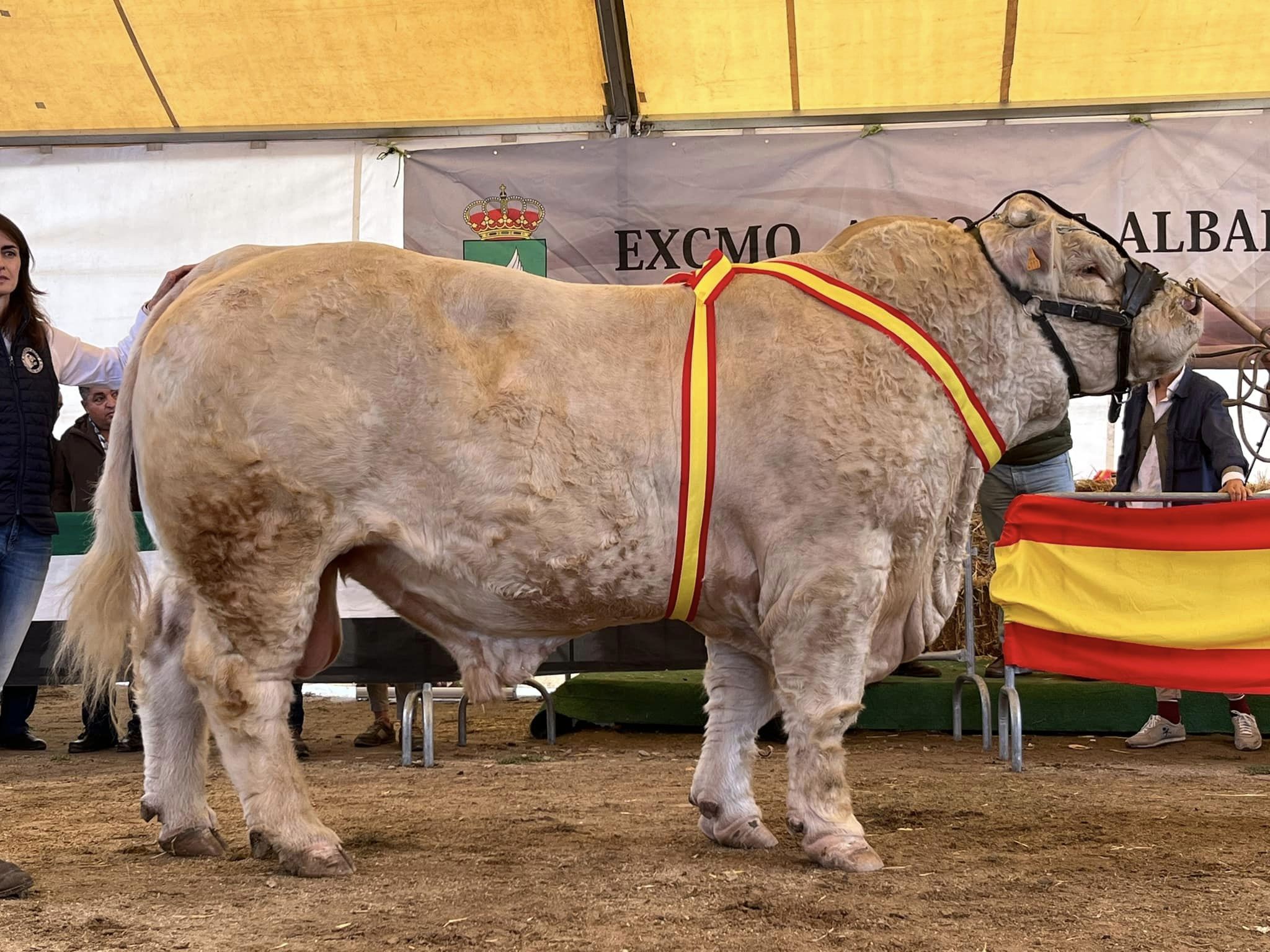 SUBCAMPEÓN ADULTO
