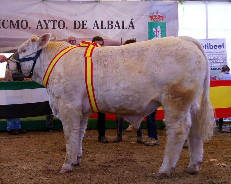 SUBCAMPEÓN JOVEN