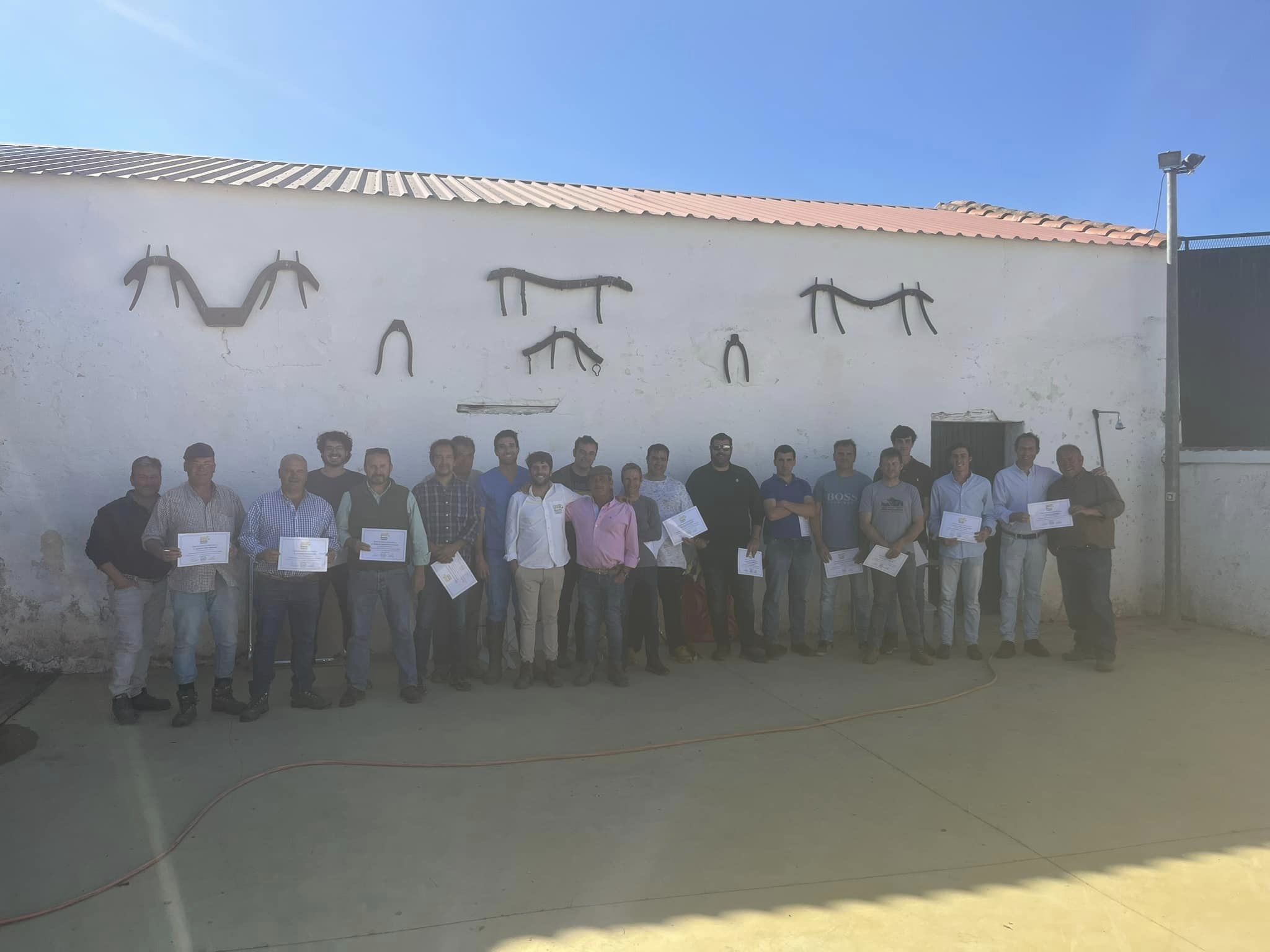 Inseminacion artificial en vacas de carne