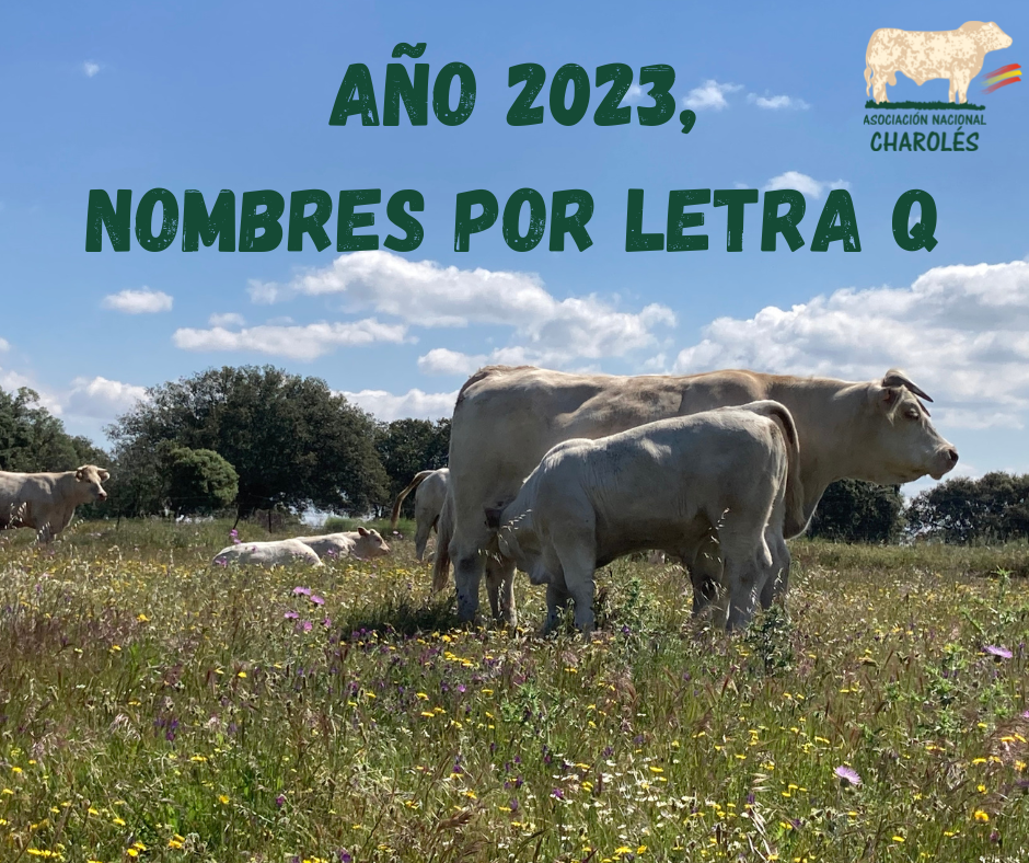 Nombres por letra Q