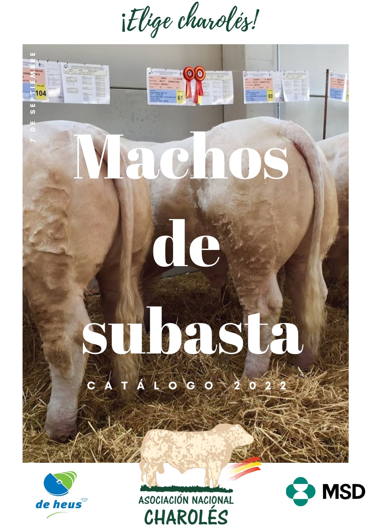 RESULTADOS SUBASTA COLMENAR VIEJO