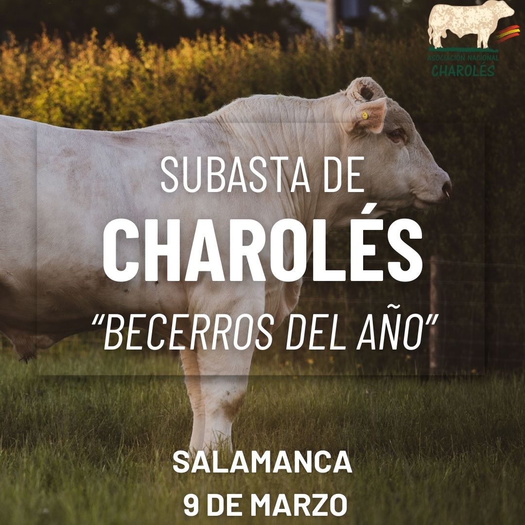 Salón del Vacuno 2024